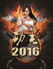 功夫2016