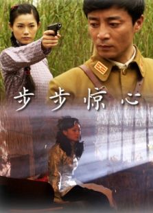 步步惊心（2010）