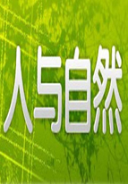 经典咏流传第2季