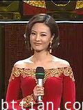 陕西卫视2013春晚