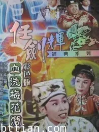 七彩金叶菊