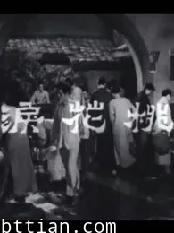 桃花泪