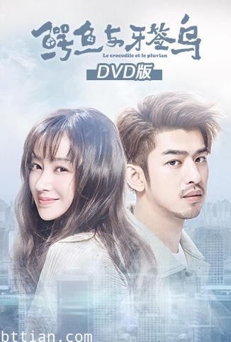 鳄鱼与牙签鸟 DVD版