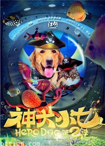 神犬小七第2季DVD版