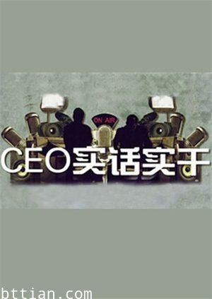 CEO实话实干2011