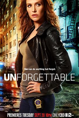 记忆神探第1季 Unforgettable Season 1