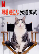 最爱喵星人：我猫威武