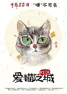 爱猫之城 Kedi