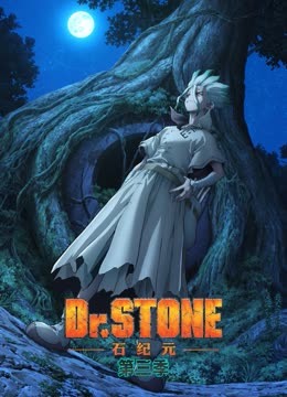 Ｄｒ．ＳＴＯＮＥ石纪元第3季